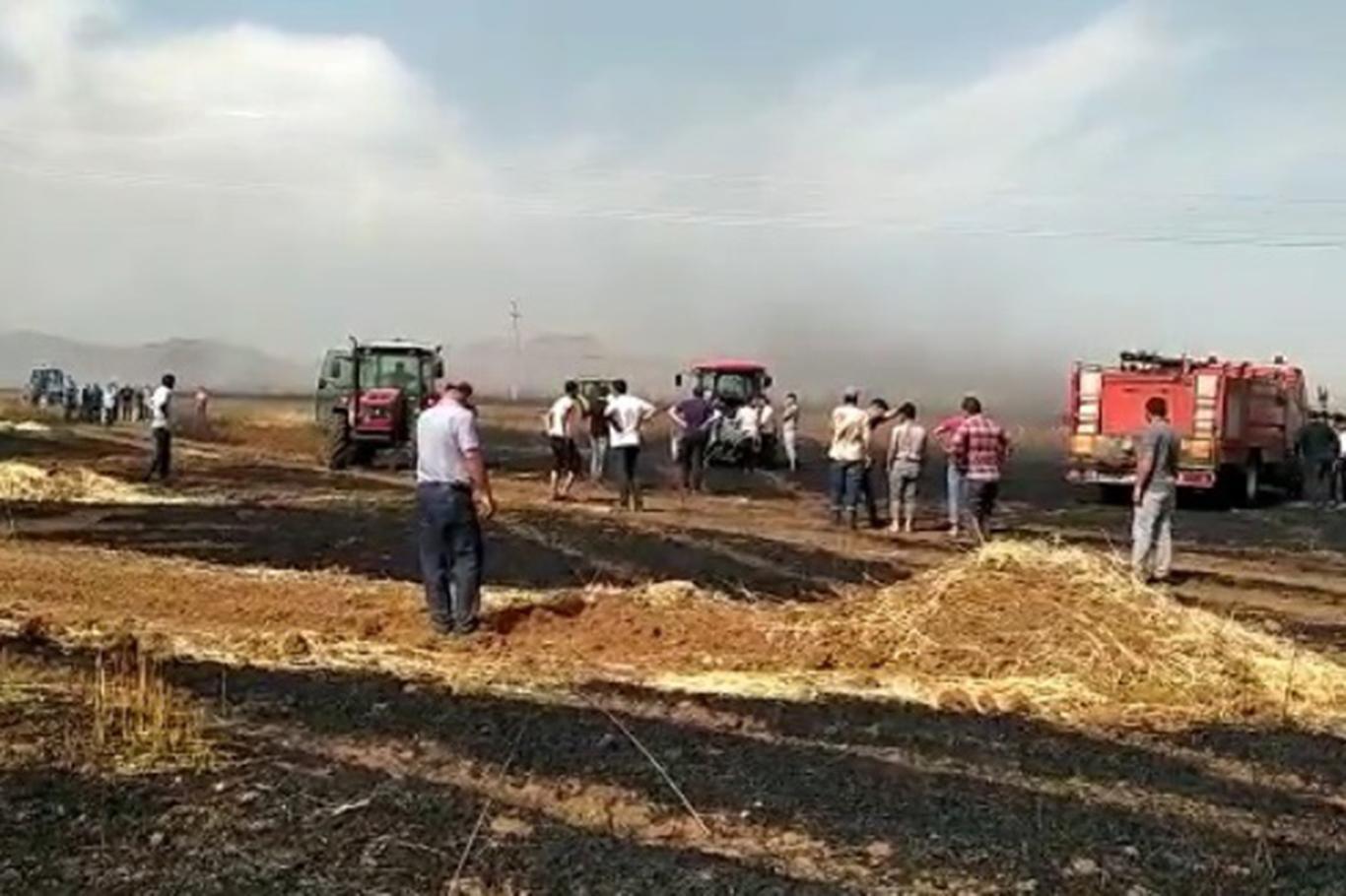 Çıkan yangında 600 dönüm buğday kül oldu